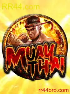 Pesona MuayThai: Dari Seni Bela Diri Tradisional Hingga Popularitas Kontemporer di WG87.com